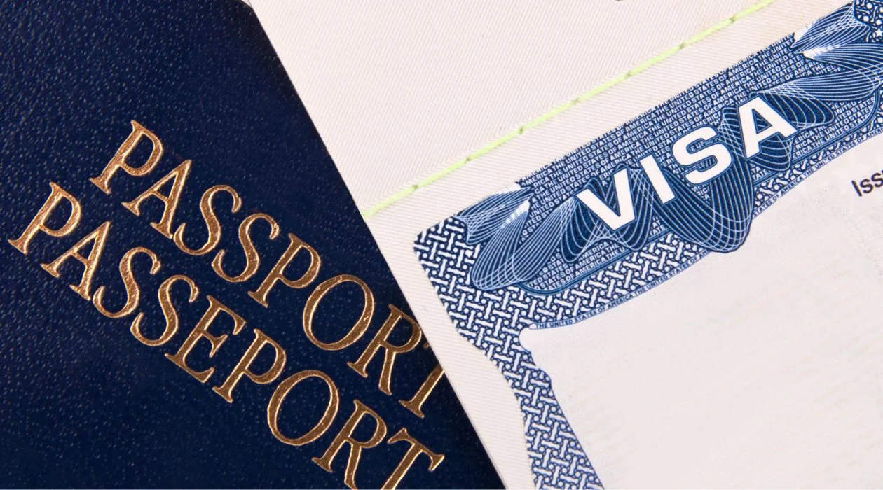 Passport and Visa What’s this? How many types are there? How are they different?